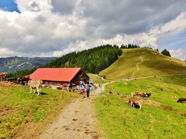 Alpe Fahnengehren auf dem Hörner-Panoramaweg