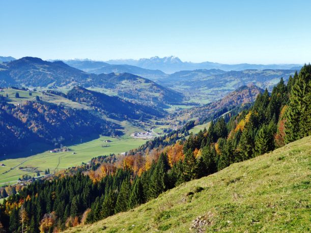 Westallgäuer Wanderwochen - Panoramawanderung Alpsee - Aufstieg mit Aussicht