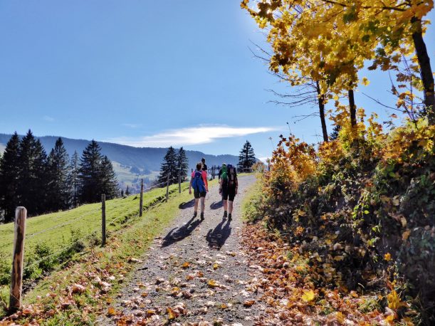 Westallgäuer Wanderwochen - Panoramawanderung Alpsee - Herbstwanderung