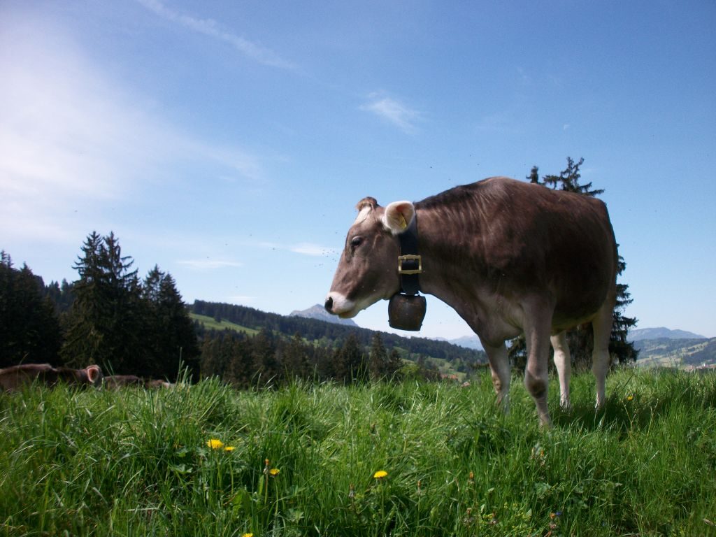 Begleiter auf der Wasserläuferroute