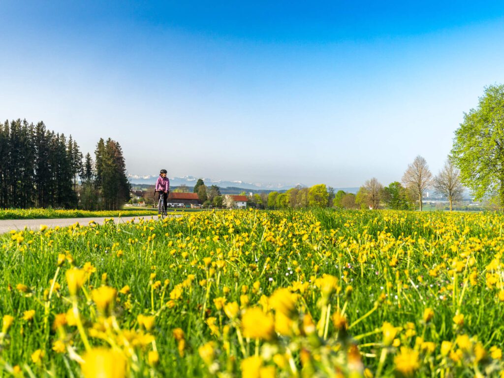 Radtour Ostallgäu Frühling Kirchweihtalrunde Buchloe