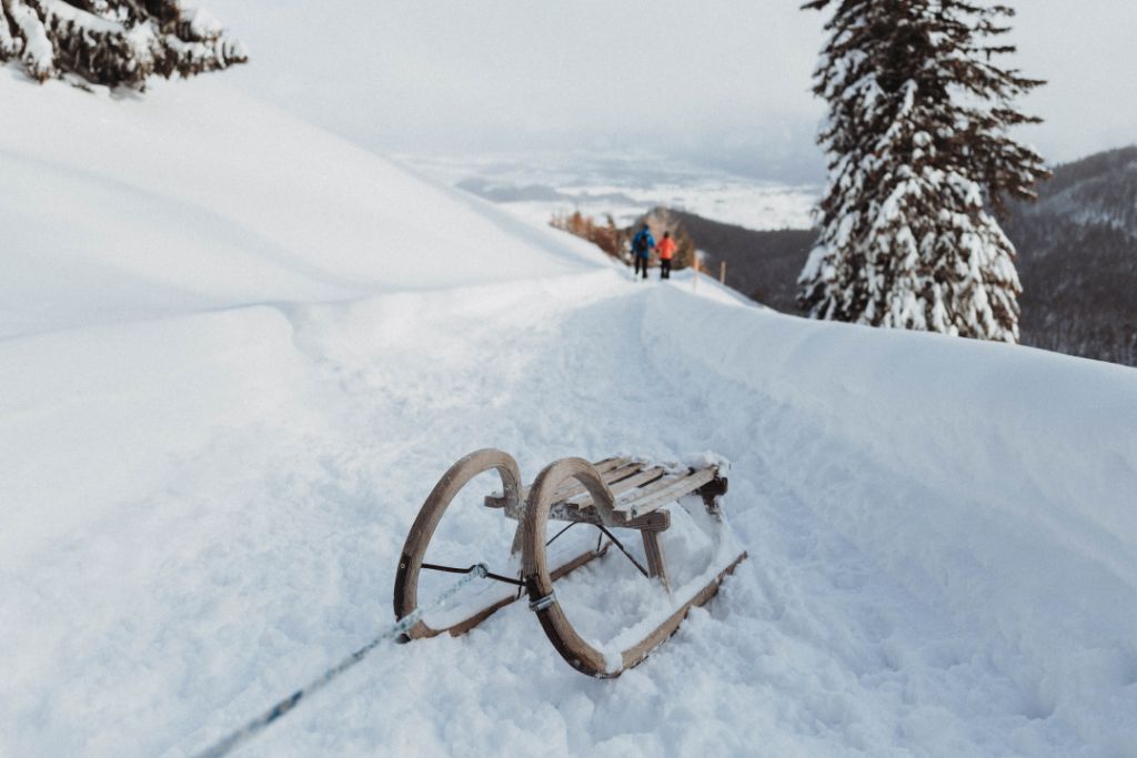 Luxus-Schlittenfahren: Abenteuer und Entspannung in der Winterlandschaft ❄️