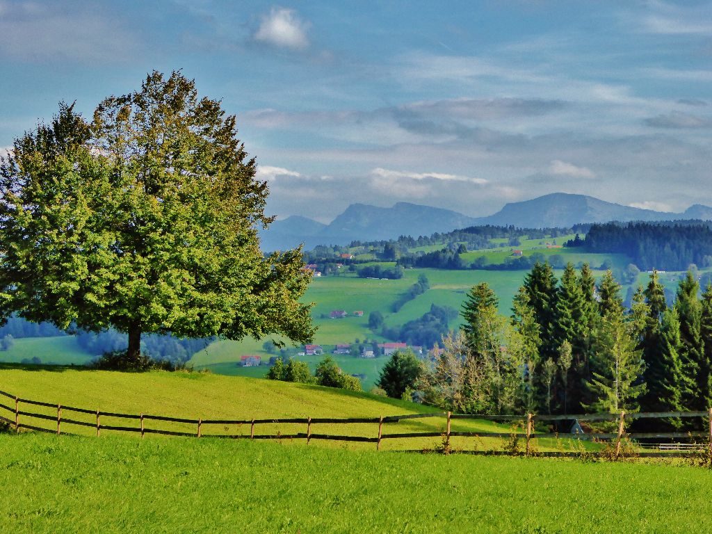 Wanderung Aussicht und Käse im Westallgäu